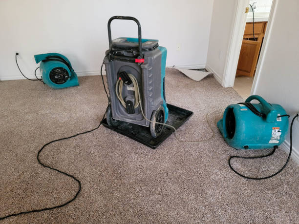 Best Water damage restoration process  in Perryman, MD