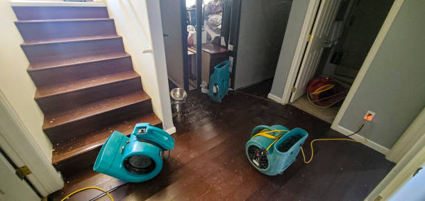 Best Flood damage cleanup  in Perryman, MD