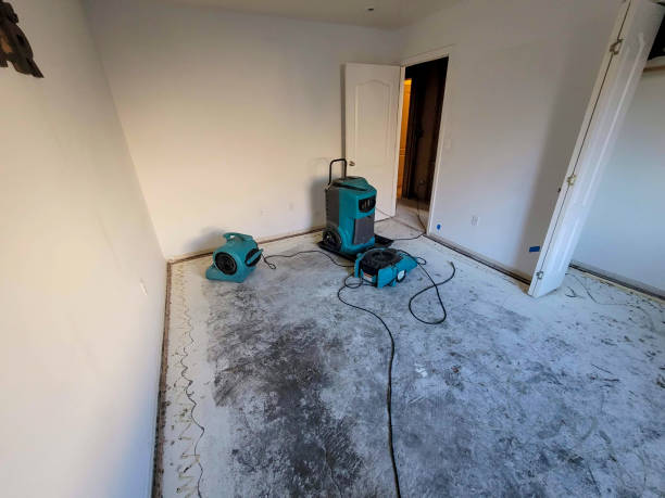 Best 24-hour water damage restoration  in Perryman, MD