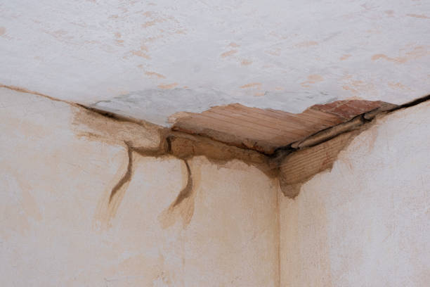 Best 24-hour water damage restoration  in Perryman, MD