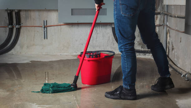 Best Professional water damage repair  in Perryman, MD