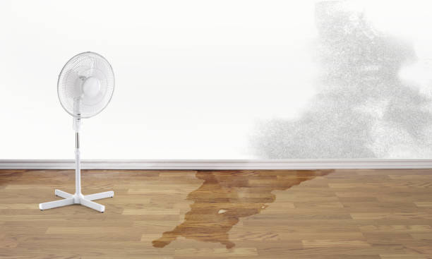 Best Ceiling water damage repair  in Perryman, MD