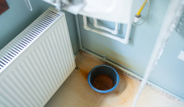 Best Mold removal after water damage  in Perryman, MD