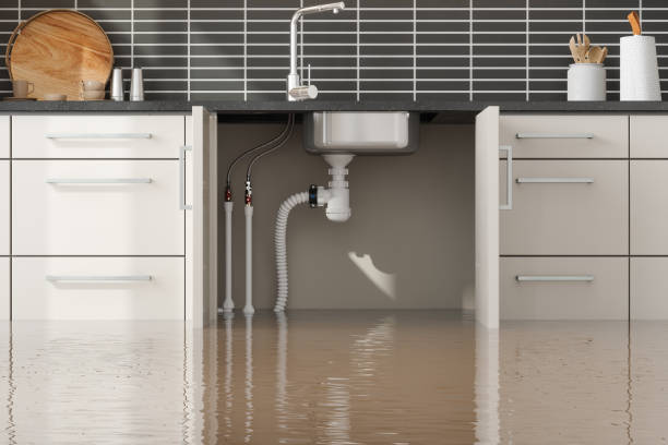 Best Fire Damage Restoration  in Perryman, MD