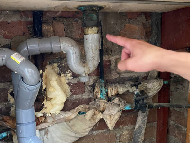 Best Water damage restoration near me  in Perryman, MD